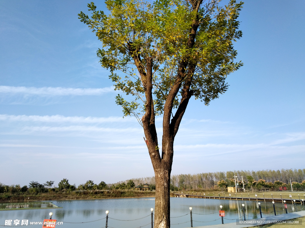 自然风景