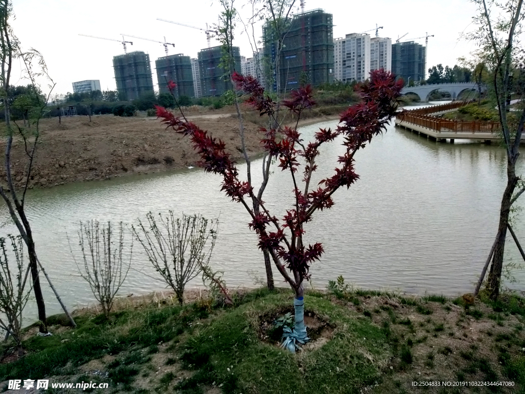 自然风景