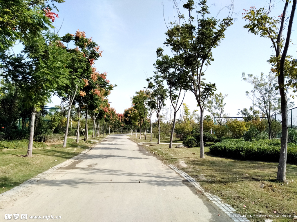 自然风景