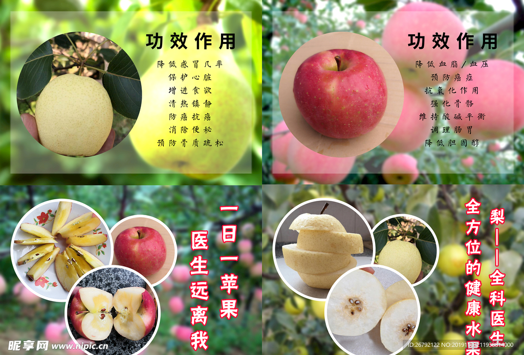 苹果梨