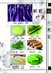 菜谱 菜单