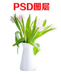 花卉