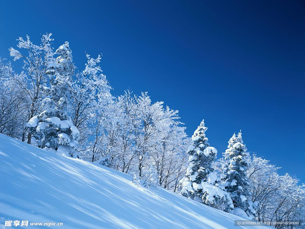 雪山风景