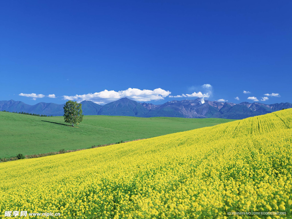 自然风景