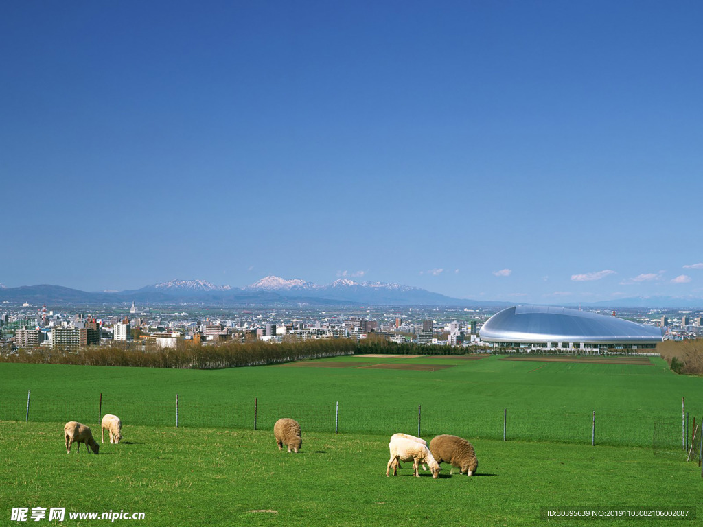 田园风景