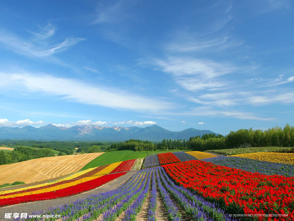 自然风景