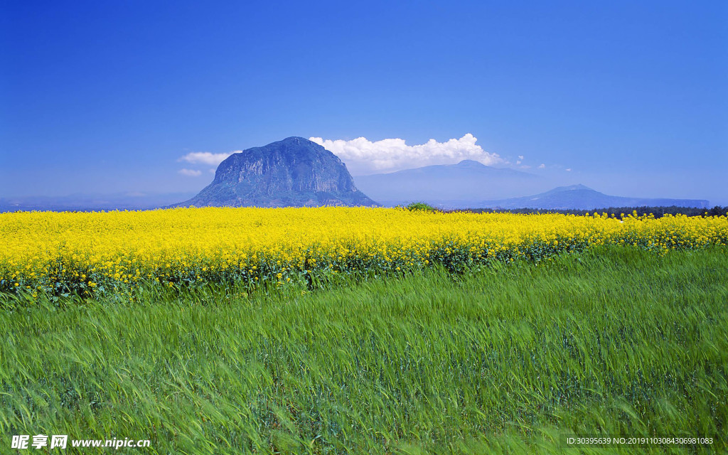自然风景
