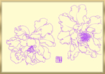 白描花卉