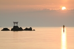 海