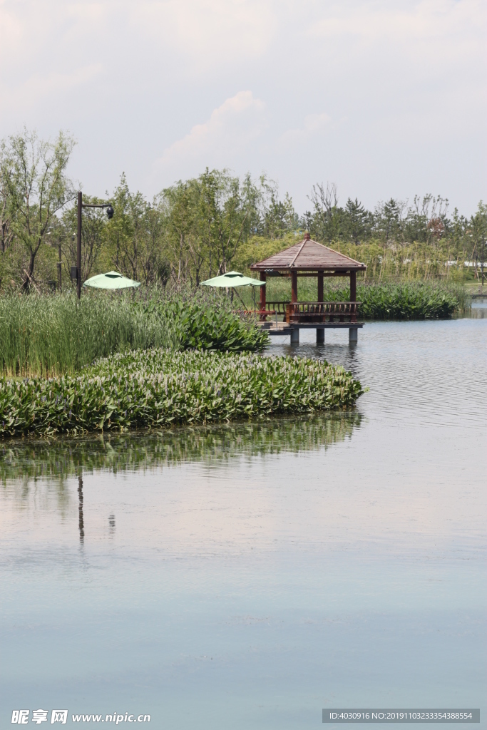 昆明池小河旁