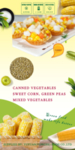 食品海报 玉米 海报模板