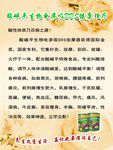 青春永驻养生馆