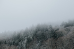 山林与雾气