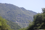 山