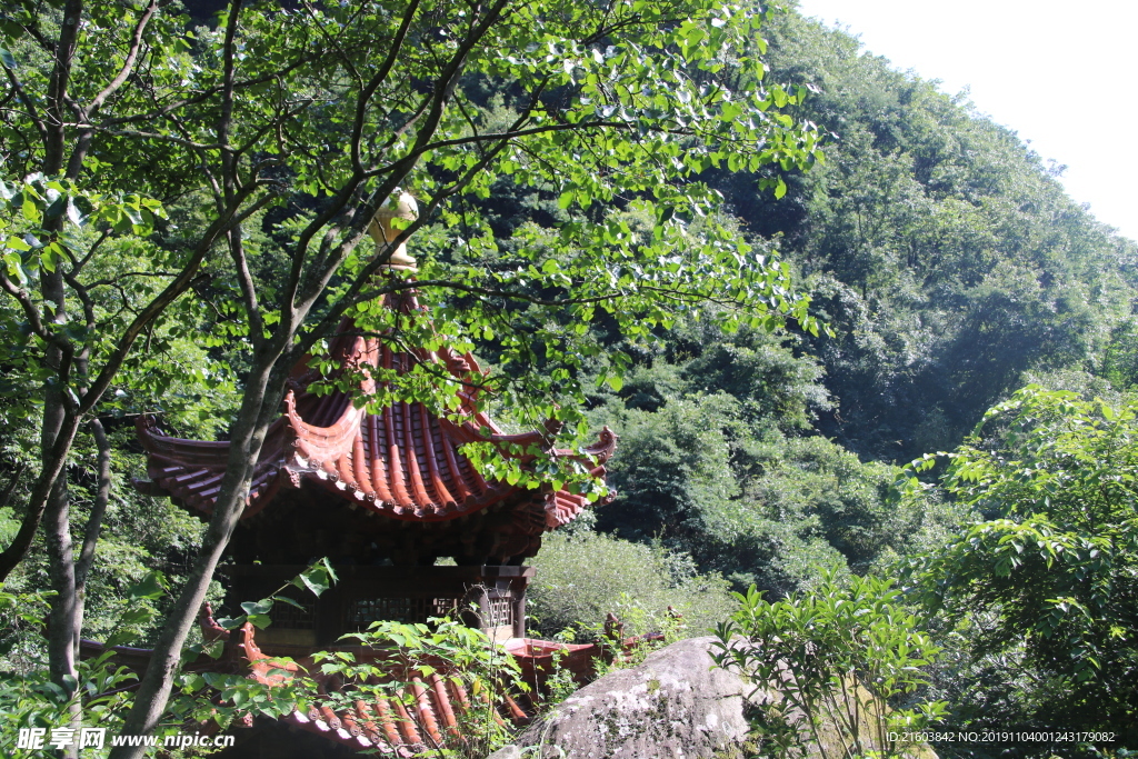 山景
