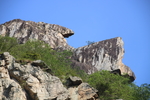 山