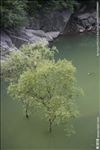 山河