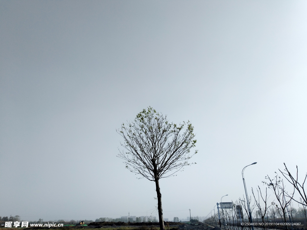 自然风景