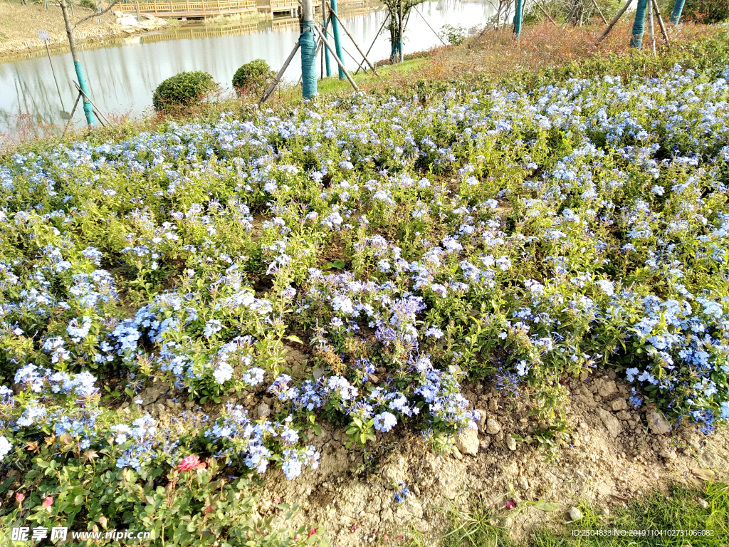 自然风景