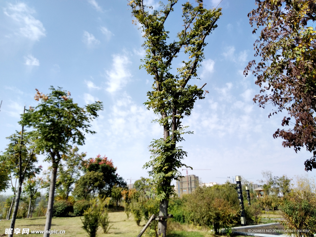 自然风景