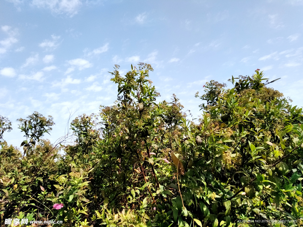 自然风景