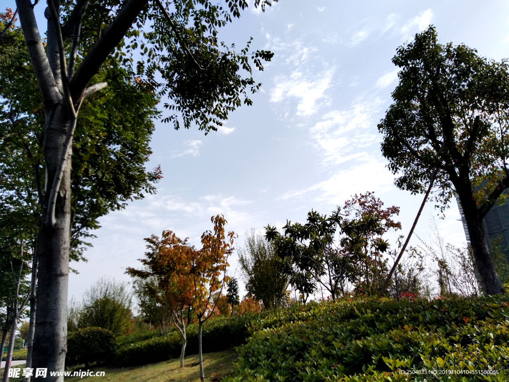 自然风景