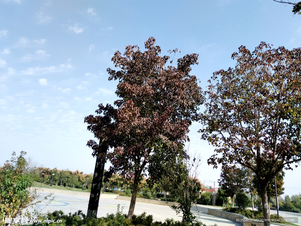 自然风景