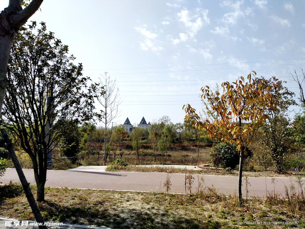 自然风景