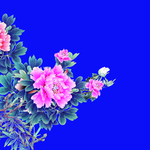 乱花 数码 印花 大牌 方巾