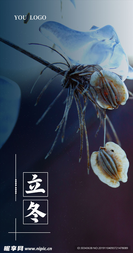 立冬 二十四节气 海报