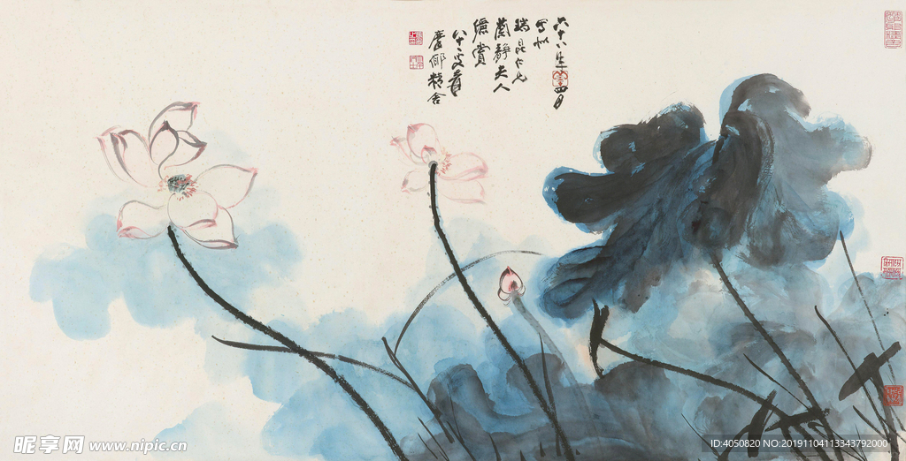 荷花