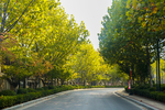 中国石油大学 青岛校区 黄岛