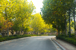 中国石油大学 青岛校区 黄岛