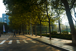 中国石油大学 青岛校区 黄岛