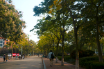 中国石油大学 青岛校区 黄岛