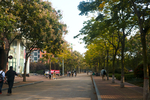 中国石油大学 青岛校区 黄岛