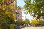 中国石油大学 青岛校区 黄岛
