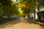 中国石油大学 青岛校区 黄岛