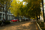 中国石油大学校园