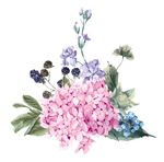 花卉