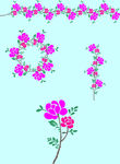 茶花月季