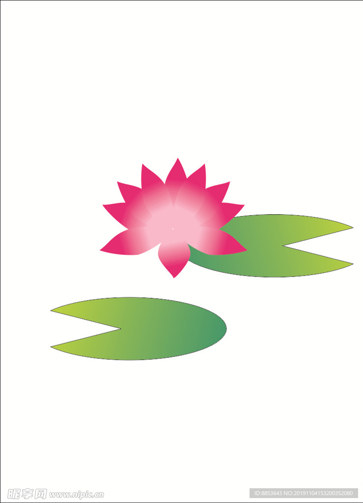 荷花