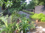 花圃