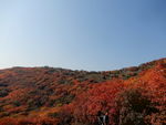 红叶山