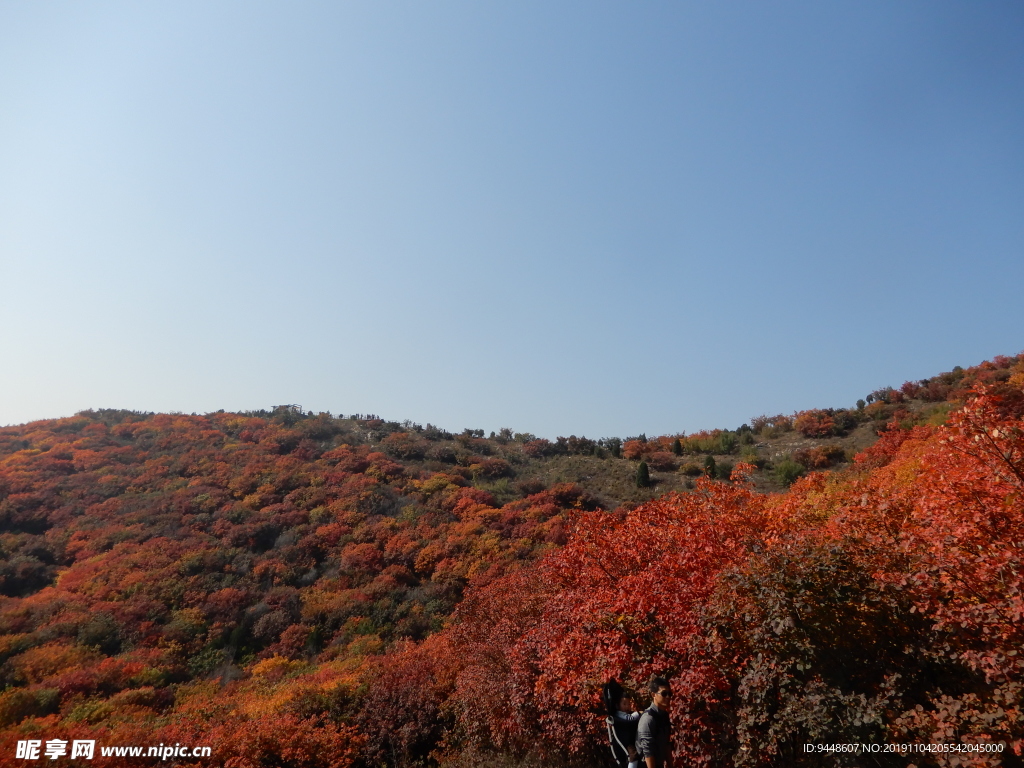 红叶山