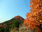 舞彩浅山