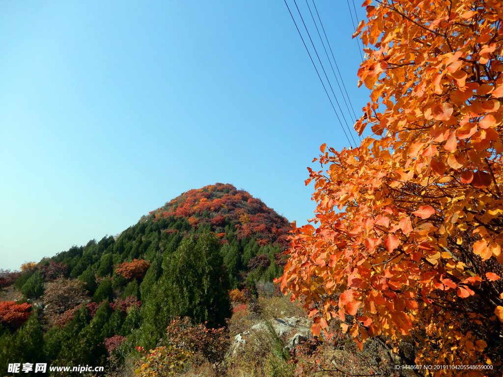 舞彩浅山