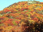 舞彩浅山