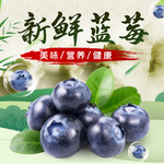 蓝莓