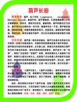 学校制度